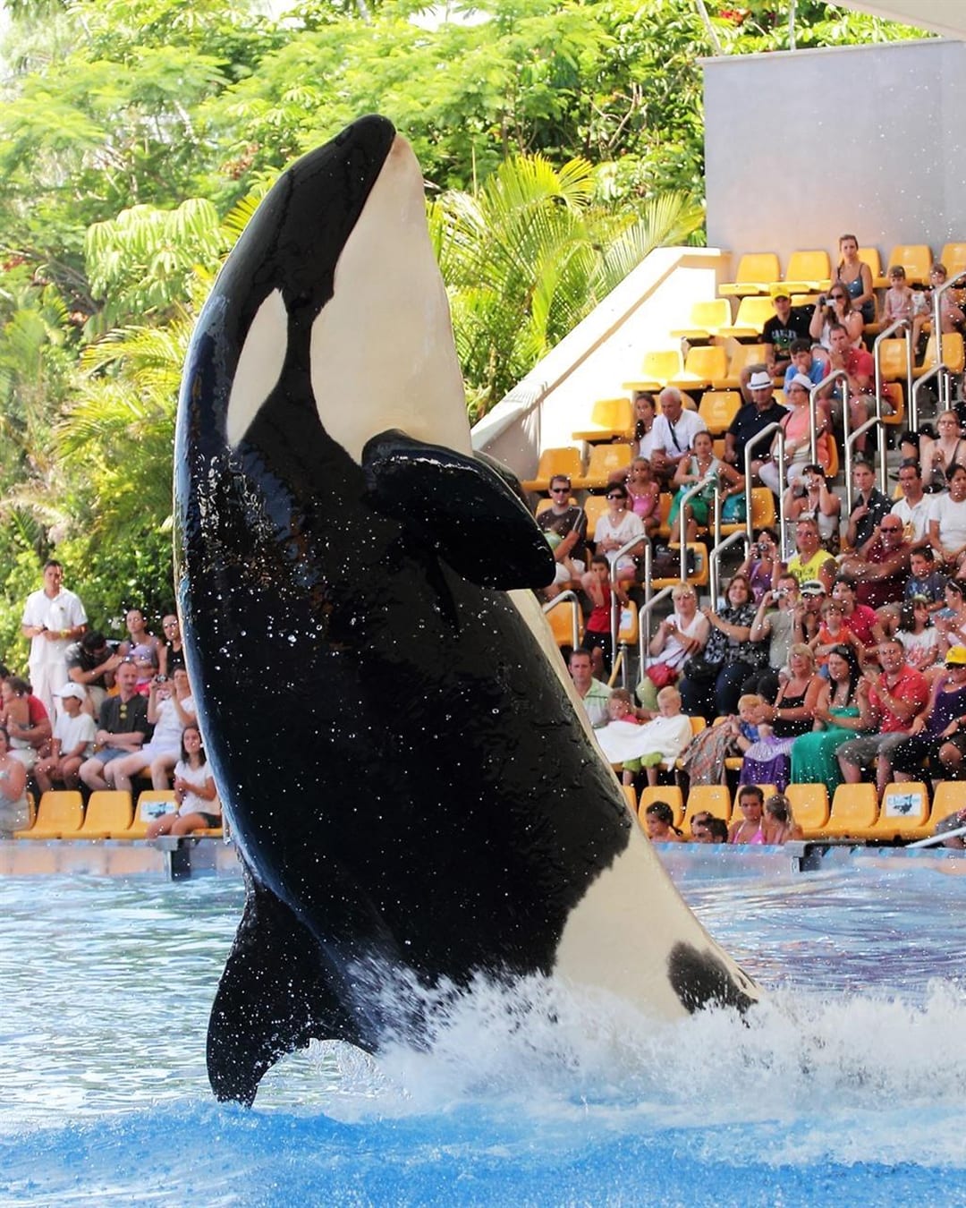 Loro Parque